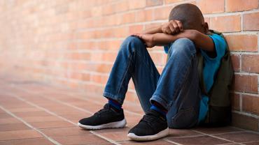 12. Factsheet_Image.jpg